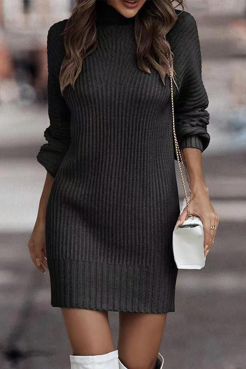 Zara | Casual solid patchwork dresses with turtleneck and one tier skirt
